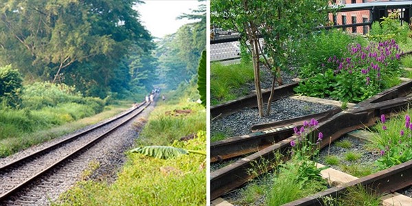 Giovanni Bozzetti - Rotaie verdi, Milano abbraccia la rigenerazione urbana con natura ed ecologia.